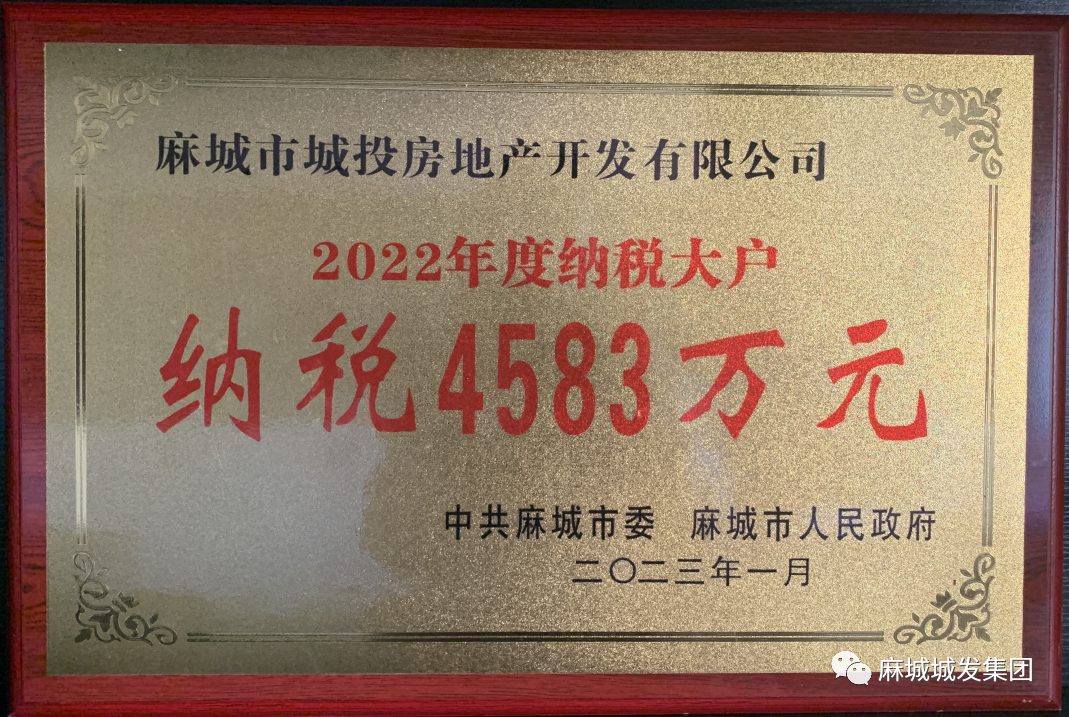 城投房地產(chǎn)納稅大戶.jpg