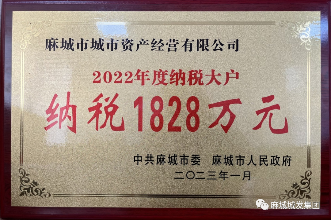 城市資產(chǎn)經(jīng)營納稅大戶.jpg